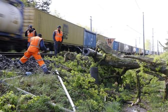 Zwischen Fürth-Vach und Erlangen-Eltersdorf stürzte am Rande einer Bahnstrecke ein Baum um: Der Vorfall sorgte für erheblichen Störungen im Bahnverkehr rund um Nürnberg.