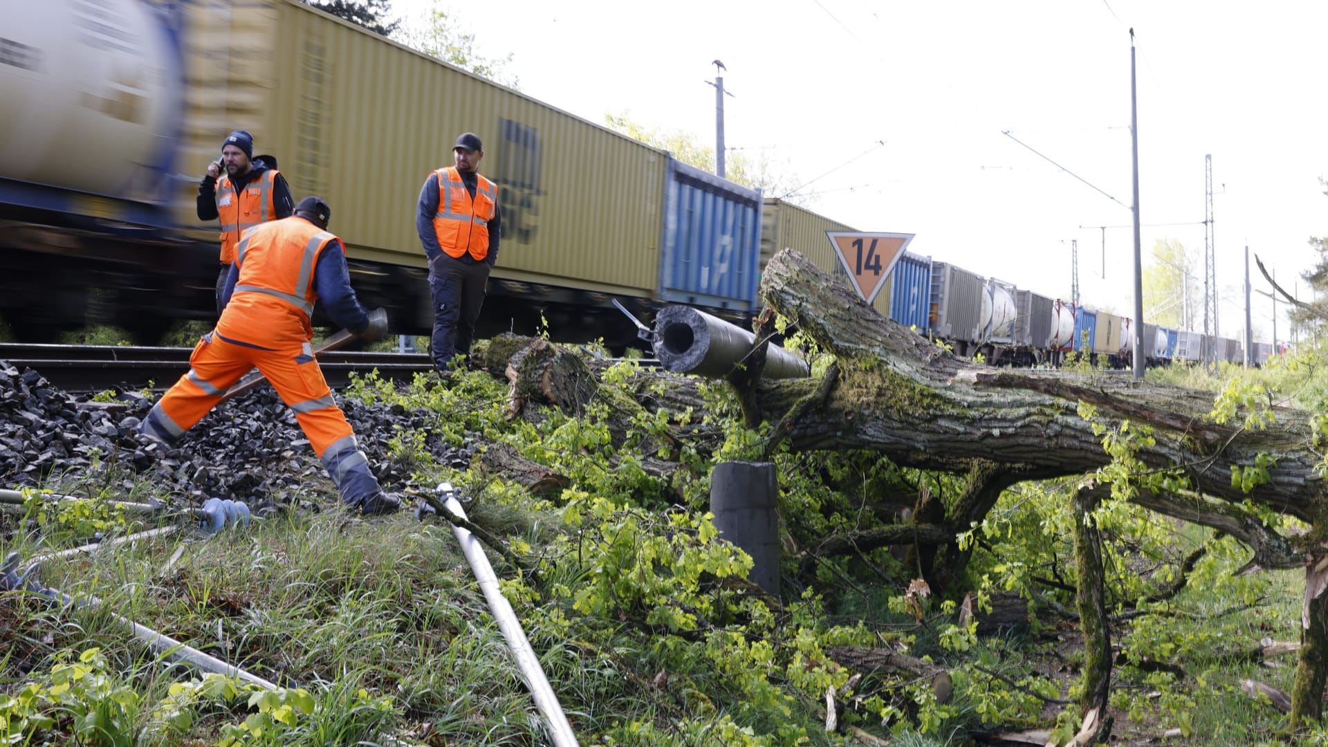 Zwischen Fürth-Vach und Erlangen-Eltersdorf stürzte am Rande einer Bahnstrecke ein Baum um: Der Vorfall sorgte für erheblichen Störungen im Bahnverkehr rund um Nürnberg.