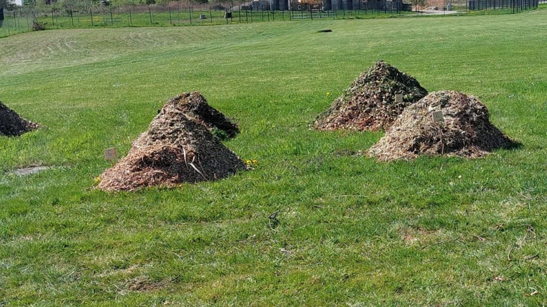 Komplett von Hand müssen Mitarbeitende des Prüfinstituts den Dauertest von Gartenhäckslern durchführen. Er lässt sich nicht automatisieren und so müssen manuell 500 Kilogramm Holz, Gestrüpp und Co. zerkleinert werden.