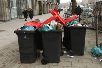 Überfüllte Mülltonnen am Glockengießerwall (Archivbild): Viele Einwohner sind von dreckigen Straßen genervt.