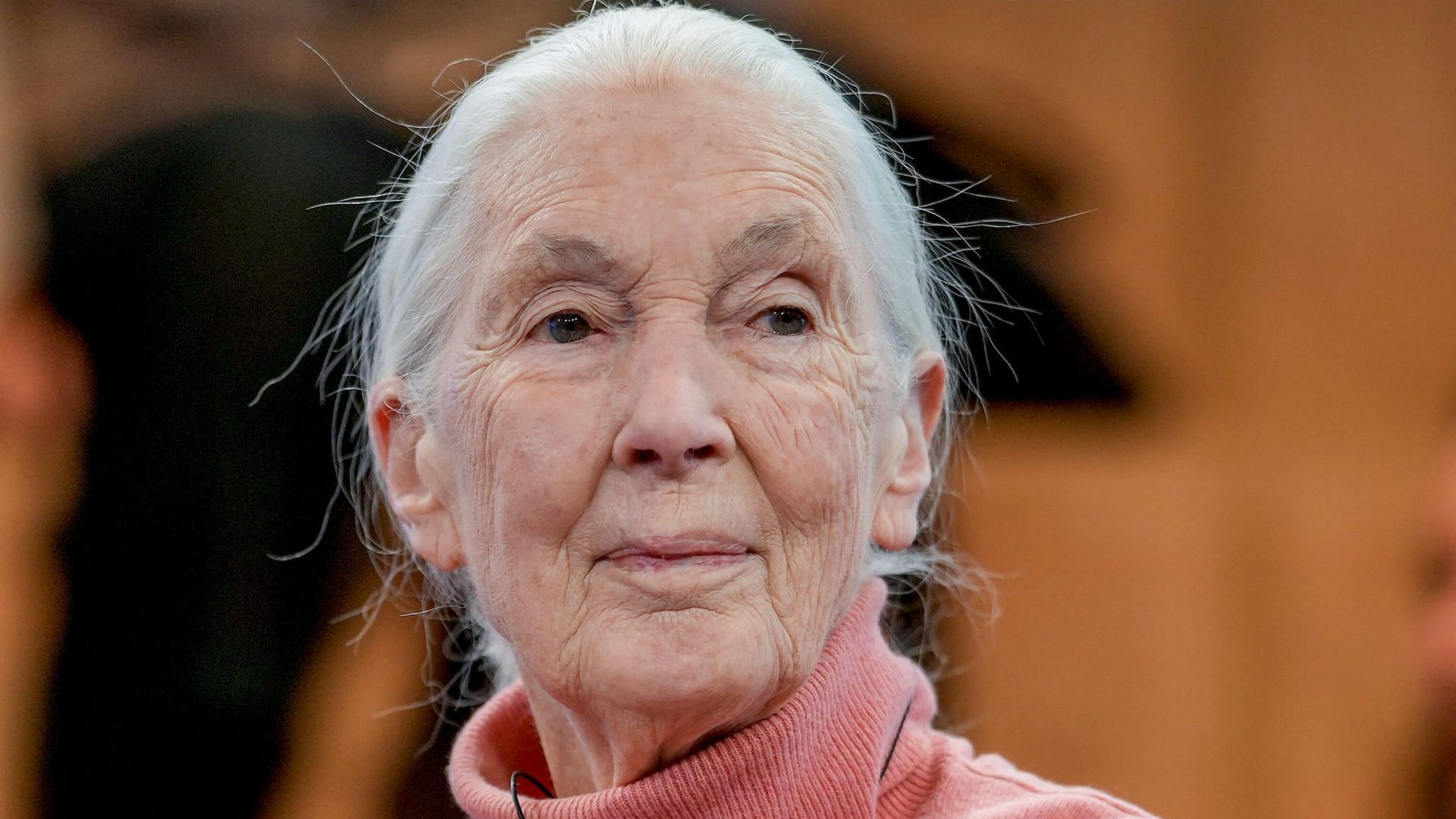 Jane Goodall