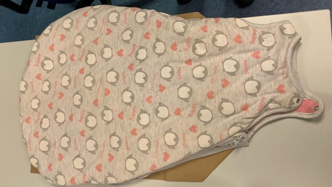 In diesem Schlafsack wurde ein Baby in Langenhorn ausgesetzt: Die Polizei sucht nun öffentlich nach Hinweisen. In diesem Schlafsack wurde ein Baby in Langenhorn ausgesetzt: Die Polizei sucht nun öffentlich nach Hinweisen.