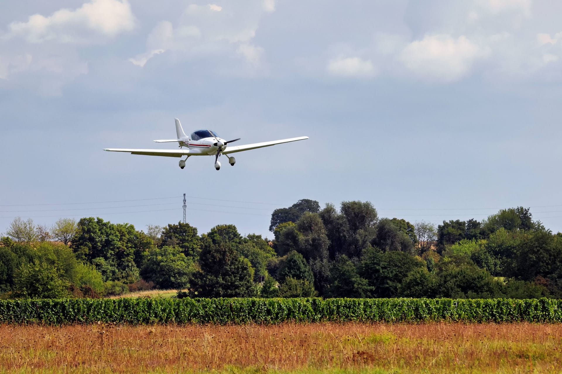 Ein Kleinflugzeug fliegt über einem Feld (Symbolbild): Am Samstag musste solch ein Flugzeug notlanden.