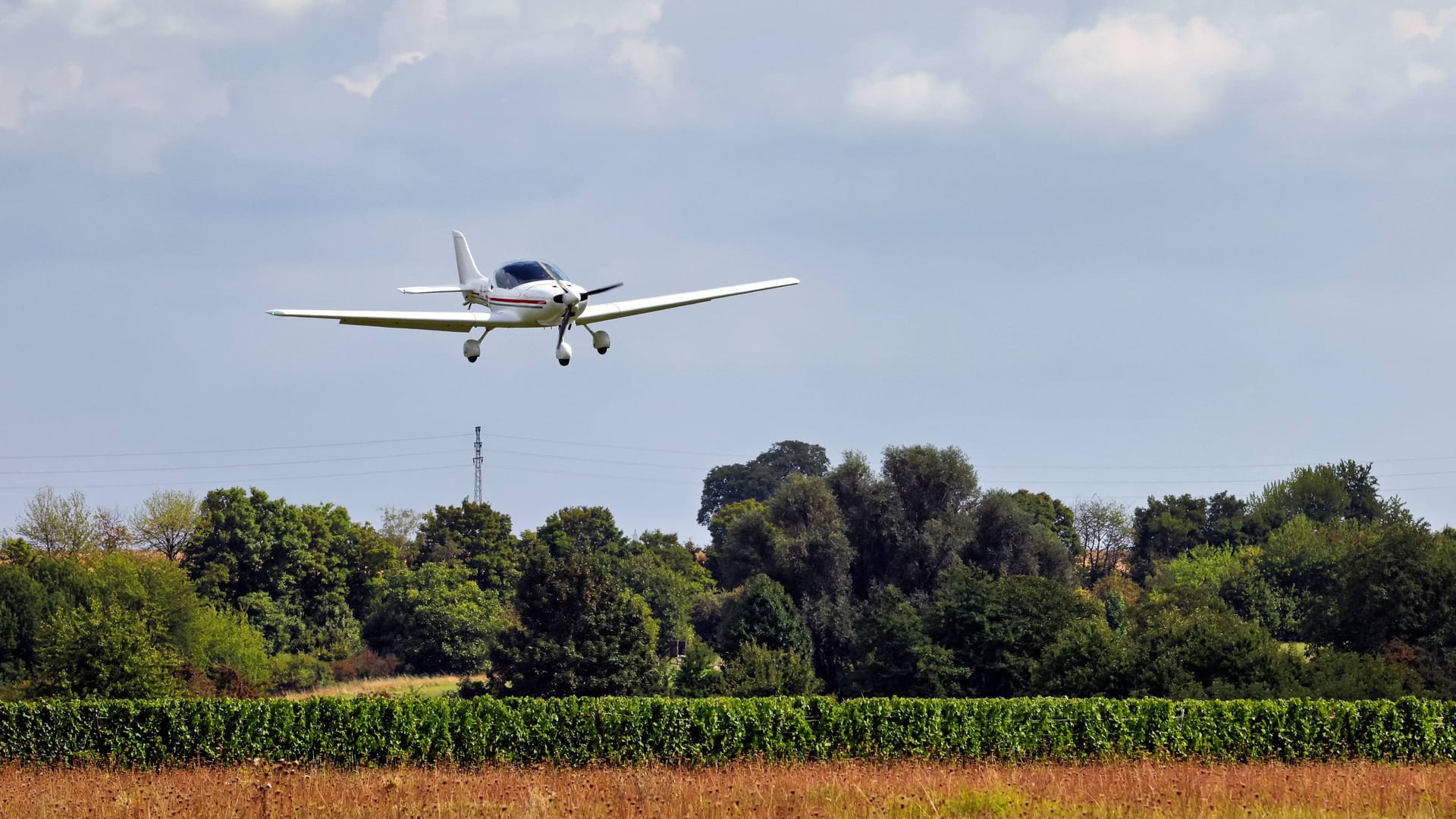 Ein Kleinflugzeug fliegt über einem Feld (Symbolbild): Am Samstag musste solch ein Flugzeug notlanden.