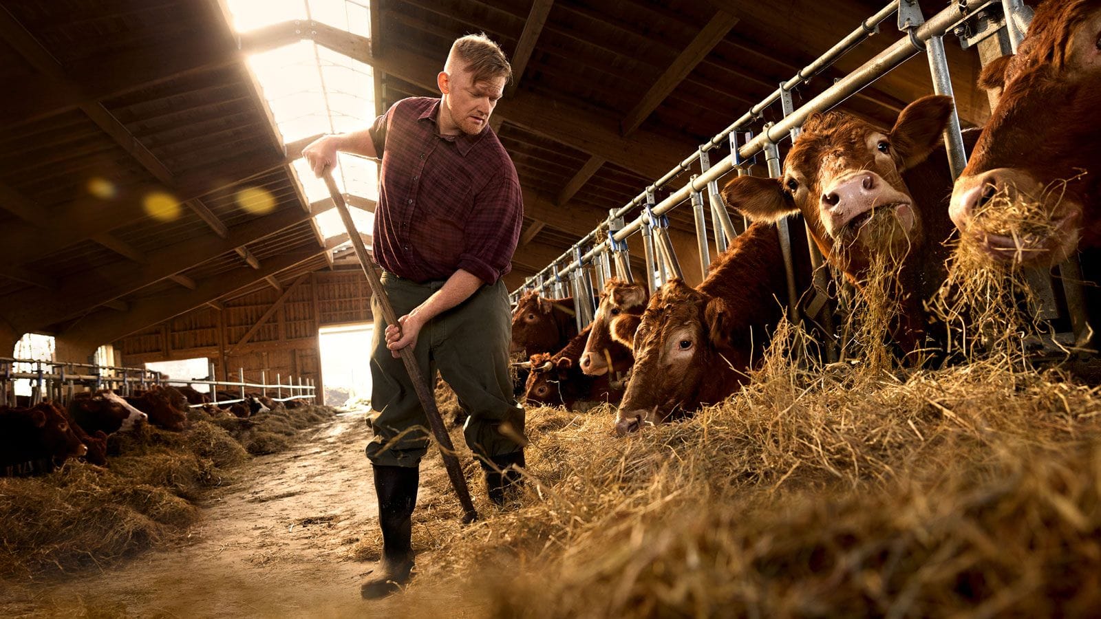 Wem Tiere nicht egal sind, der sollte beim Einkauf aufs Tierwohl achten.