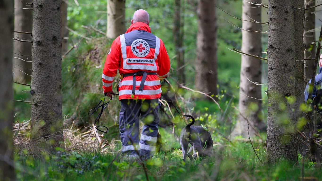 Einsatz mit Suchhund in einem Waldstück bei Behrste: Im Laufe des Donnerstags sollen Soldaten der Bundeswehr die Maßnahmen unterstützen.