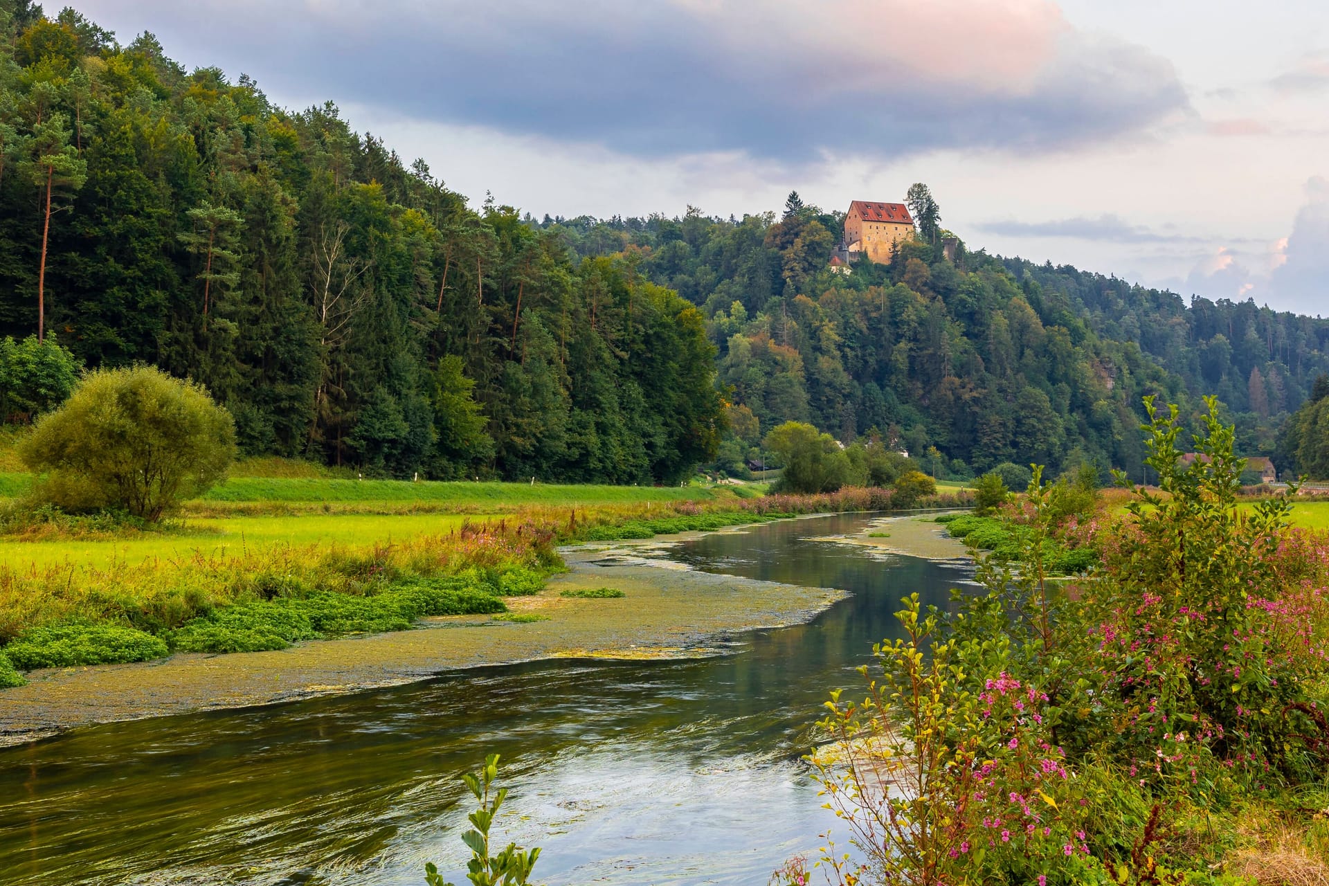 Der Fluss Wiesent (Symbolbild): In dem Fluss ist eine Leiche entdeckt worden.