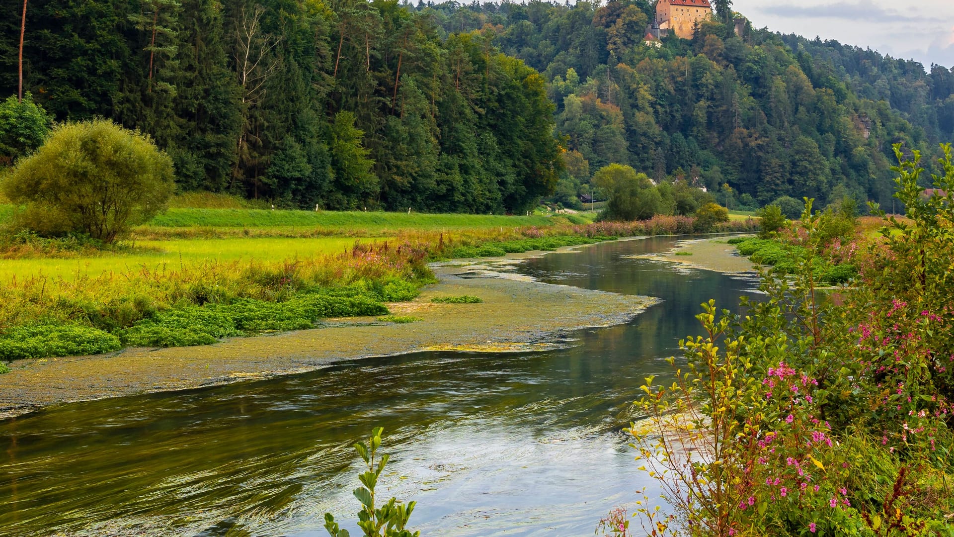 Der Fluss Wiesent (Symbolbild): In dem Fluss ist eine Leiche entdeckt worden.