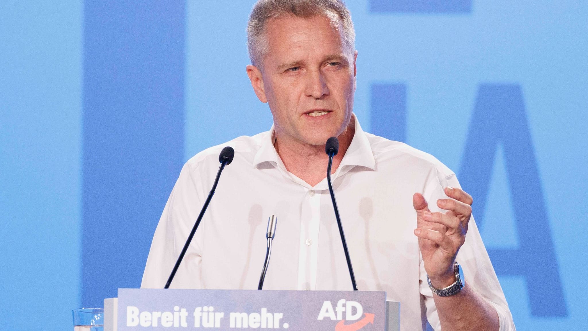 Bystron soll AfD Auskunft zu Vorwürfen aus Tschechien geben