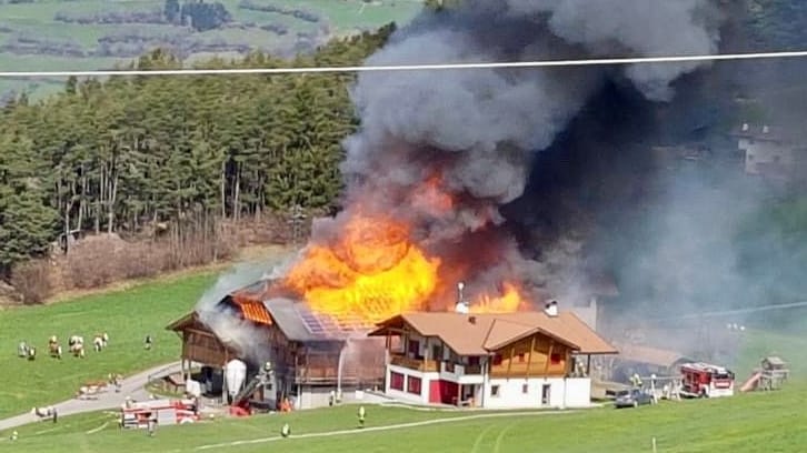 Brand auf dem Radauerhof in Kastelruth: Links sind die geretteten Kühe zu sehen.