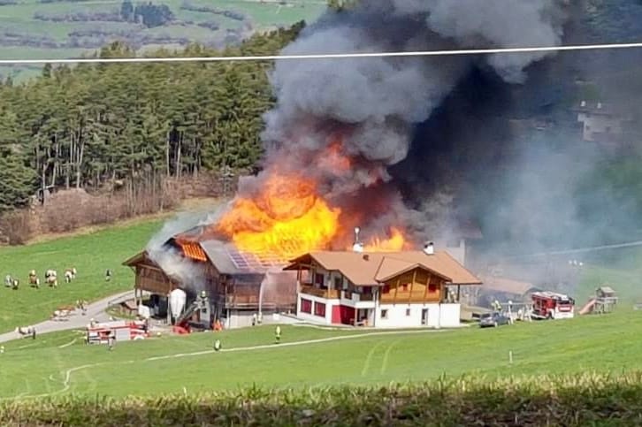 Brand auf dem Radauerhof in Kastelruth: Links sind die geretteten Kühe zu sehen.