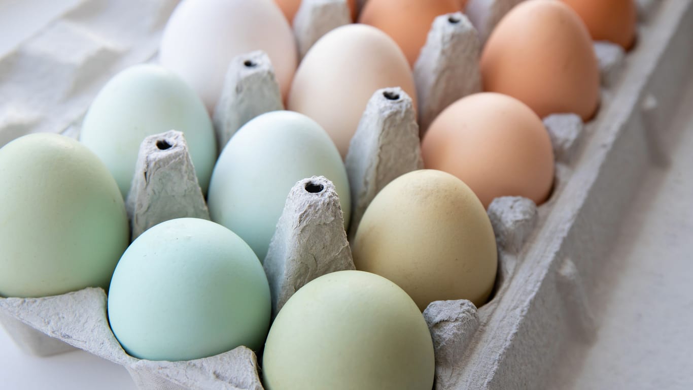 Ganz natürlich: Hühnereier sind nicht nur braun oder weiß. Verschiedene Rassen, legen verschiedenfarbige Eier.