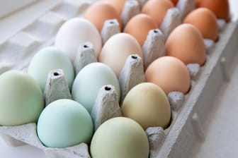 Ganz natürlich: Hühnereier sind nicht nur braun oder weiß. Verschiedene Rassen, legen verschiedenfarbige Eier.
