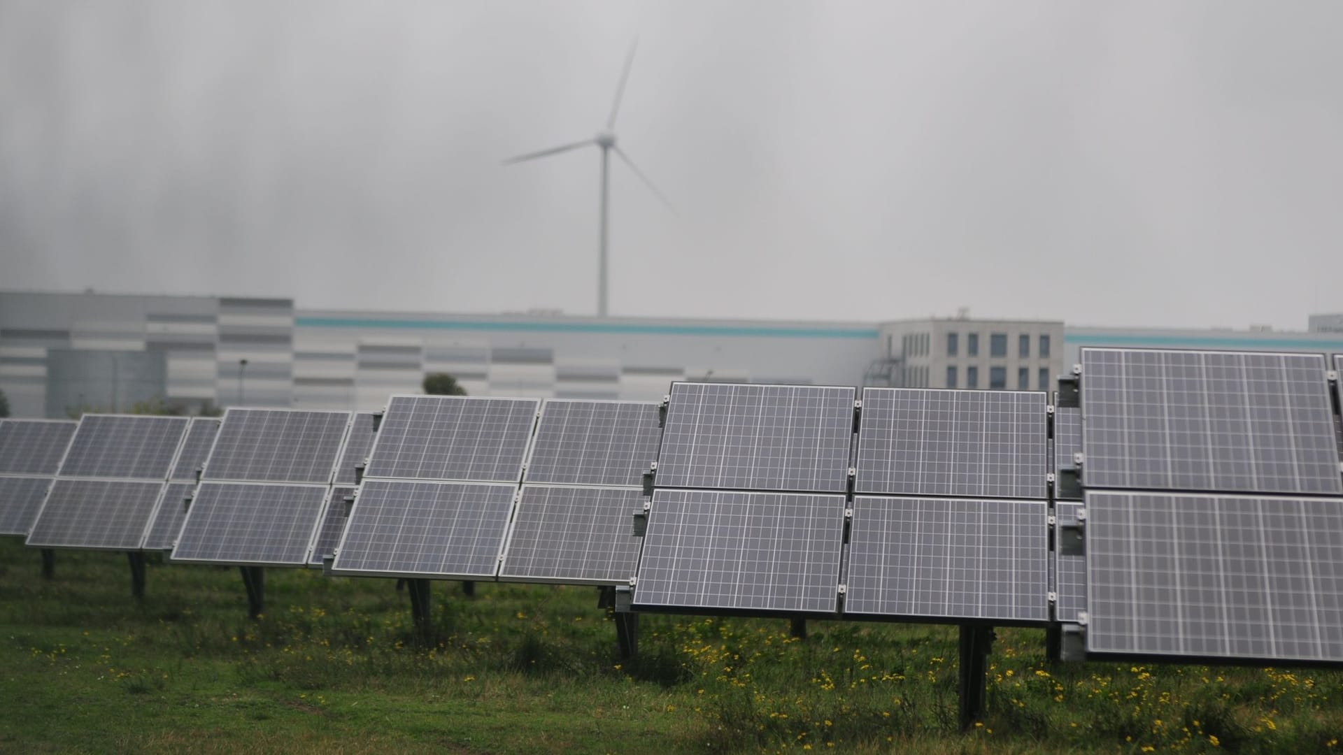 Solarmodule in Bitterfeld-Wolfen