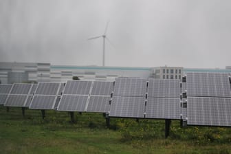 Solarmodule in Bitterfeld-Wolfen