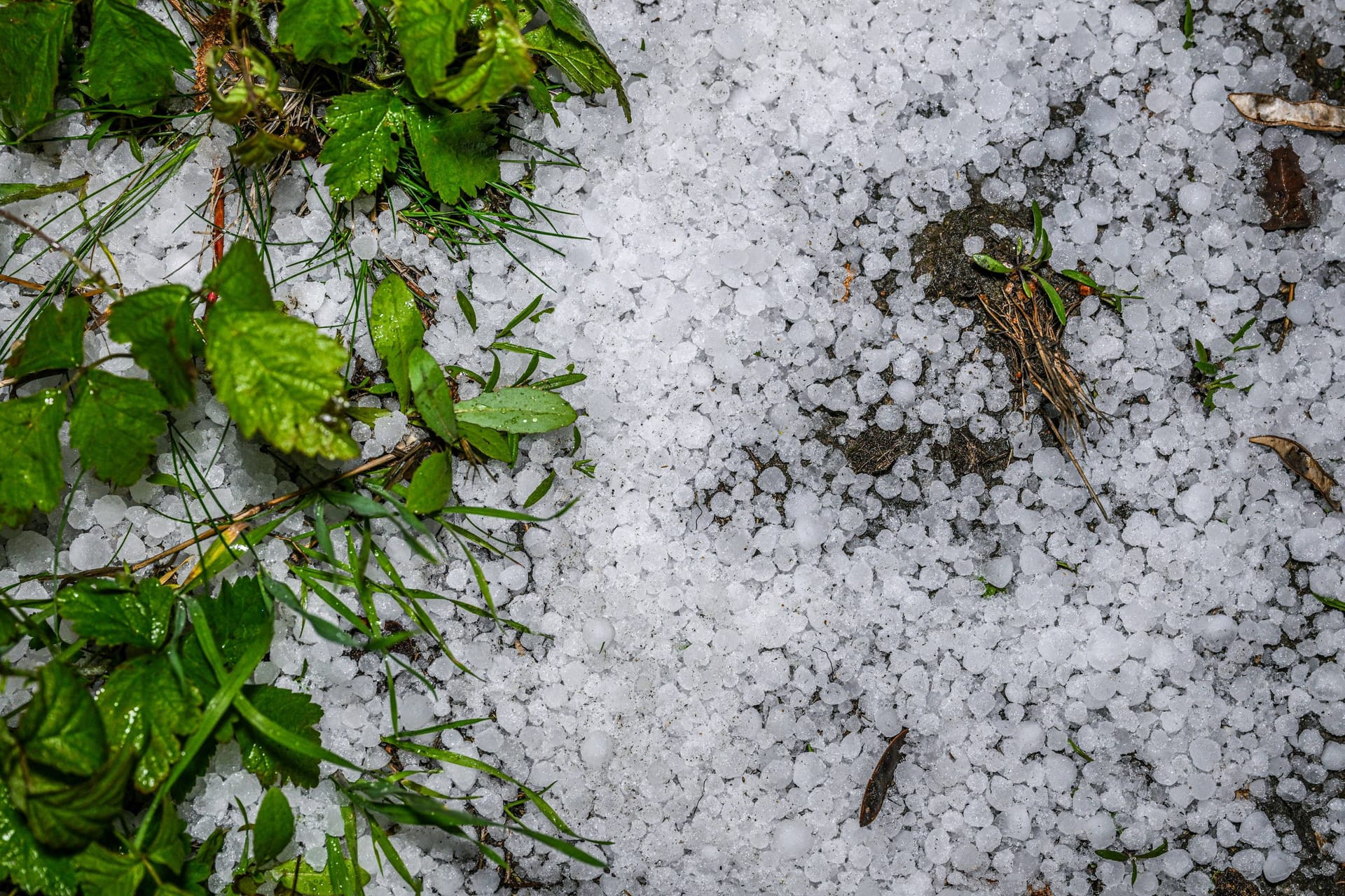 Durchhalten: Erst gibt es noch einmal Graupelschauer, aber am Wochenende wird es wieder frühlingshafter (Archivbild).