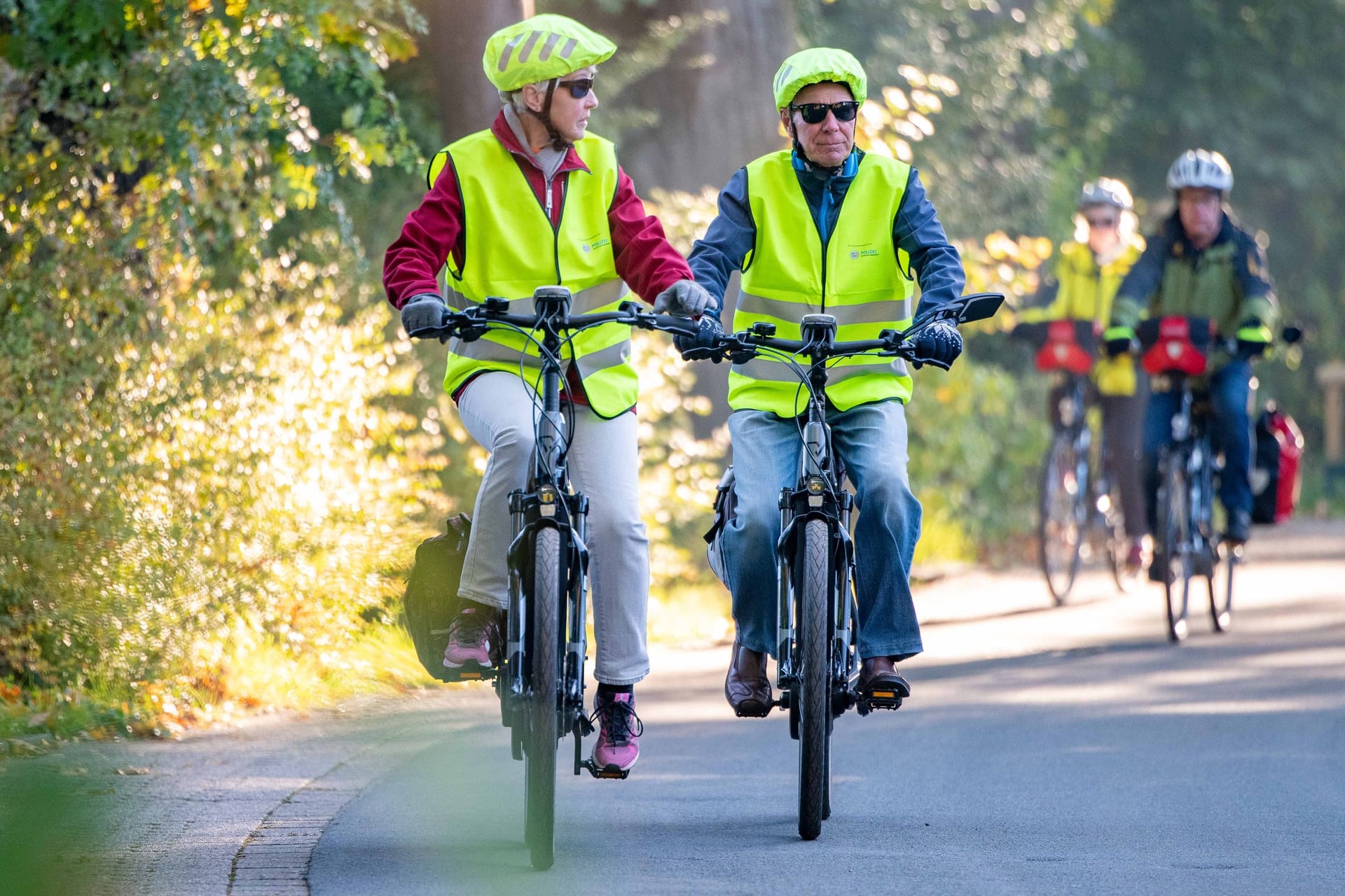 Ausflug mit dem E-Bike: Hin und wieder sollte der Akku auf Schäden überprüft werden.