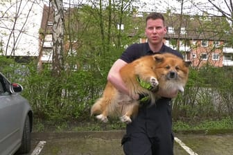 Ein Feuerwehrmann mit einem geretteten Hund: Die Feuerwehr Hamburg musste eine Scheibe einschlagen, um einen Hund aus einem überhitzten Auto zu retten.