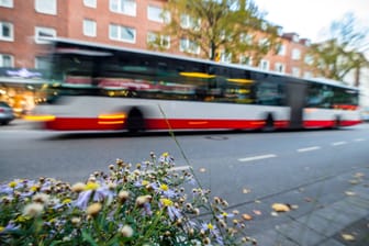 Ein Bus der Hochbahn Hamburg (Symbolbild): Im Mai stehen viele Änderungen im Busnetz an.