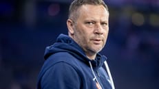 "Bild": Dardai nach der Saison nicht mehr Trainer bei Hertha