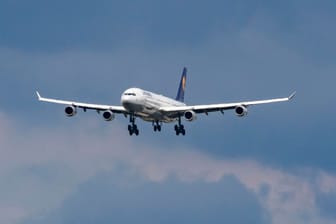 Lufthansa Airbus A340 (Archivbild): Notlandung wegen eines medizinischen Notfalls.