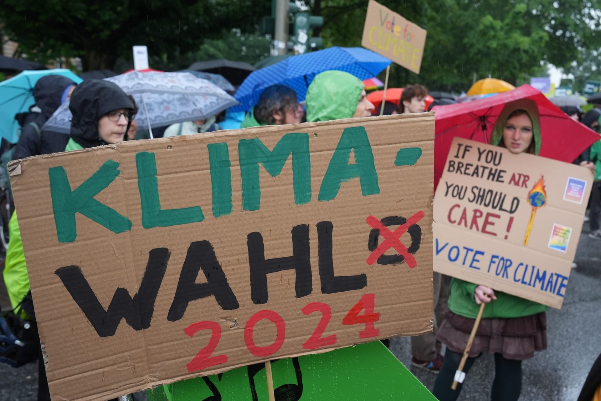 Menschen protestieren während des Klimastreiks von Fridays for Future in Hamburg: Sängerin Lina hat ihren Auftritt abgesagt.