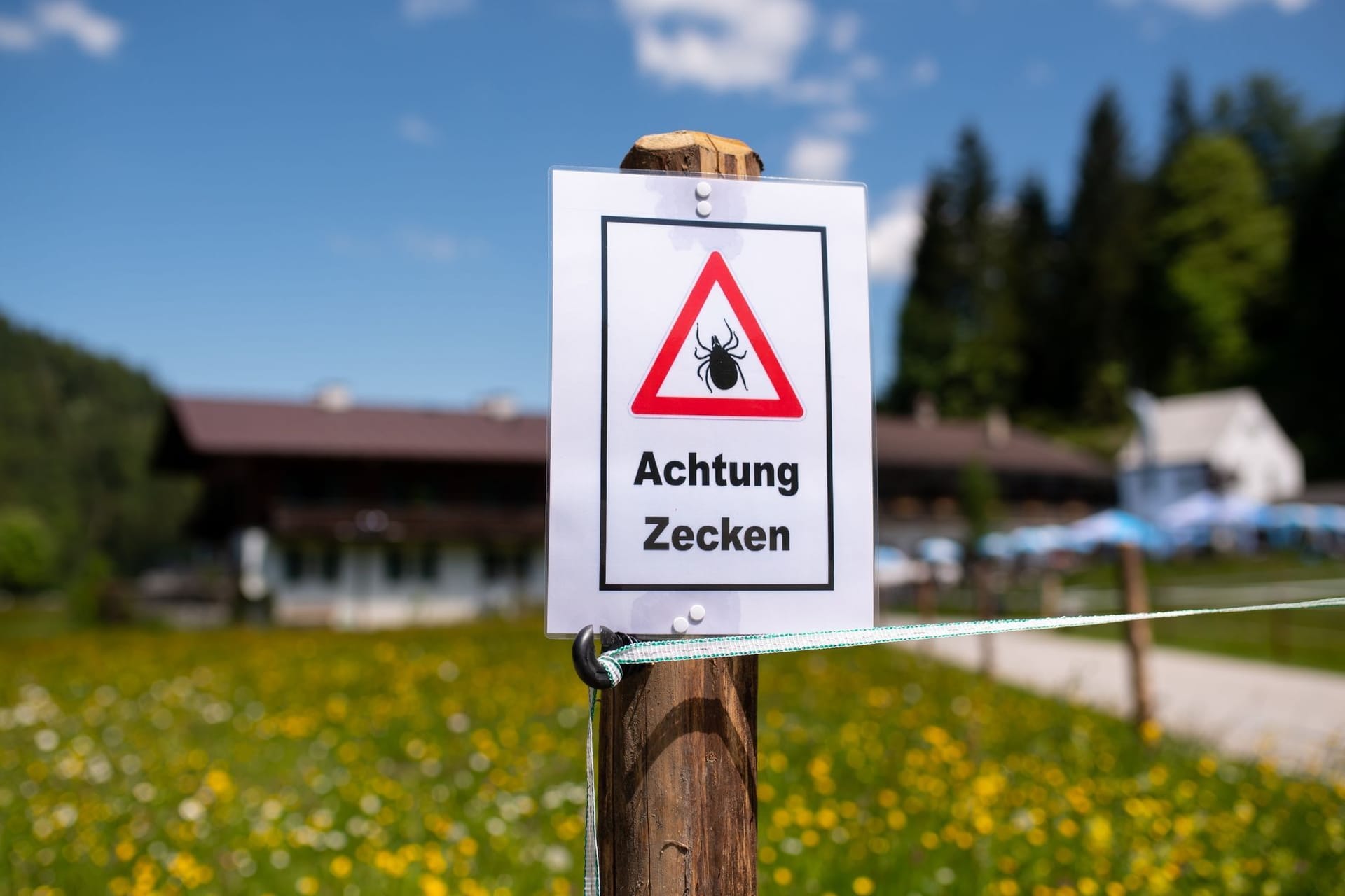 Zecken-Schild