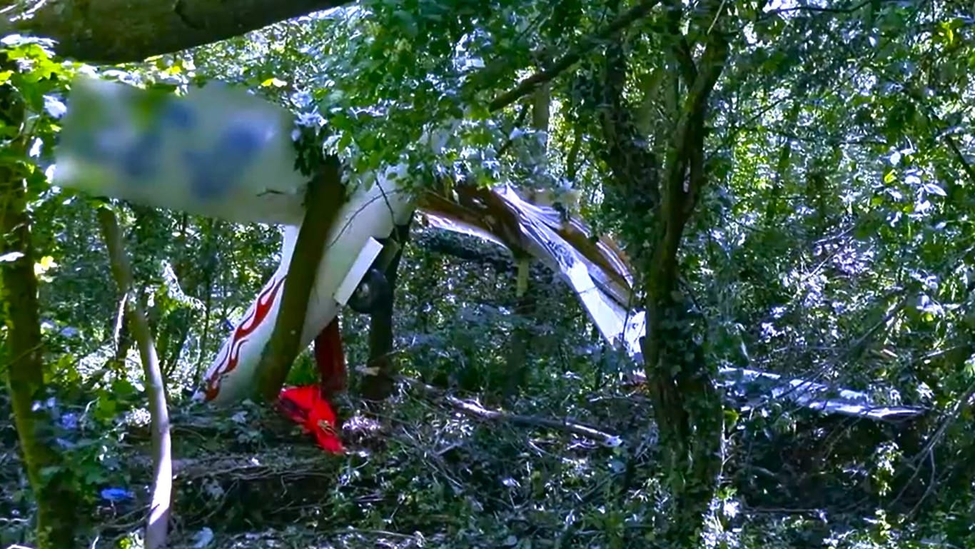 Segelflieger abgestürzt: Die Maschine krachte in ein Waldstück.