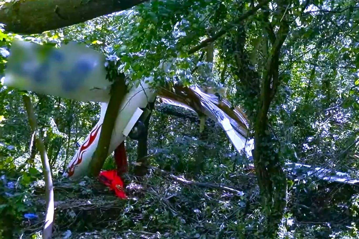 Segelflieger abgestürzt: Die Maschine krachte in ein Waldstück.