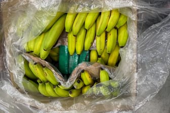 Mehrere tausend Kisten voller Bananen dienten als Versteck für eine halbe Tonne Kokain.