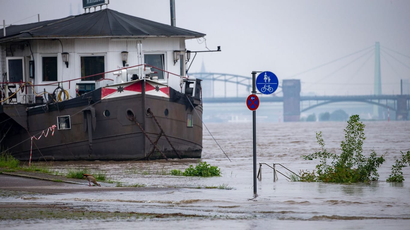 Hochwasser am Rhein: Am Dienstag zieht es sich etwas zurück.