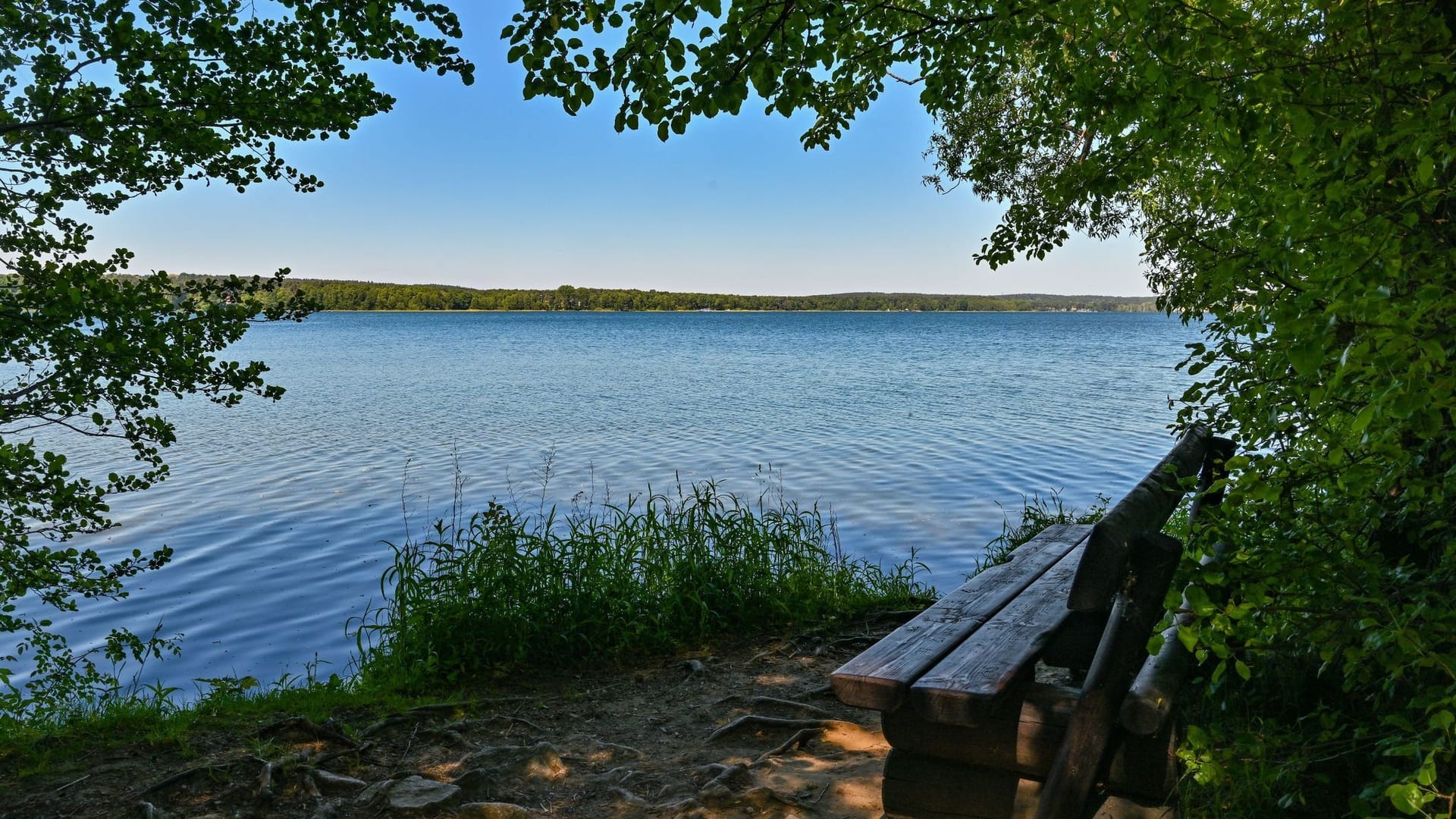 Scharmützelsee
