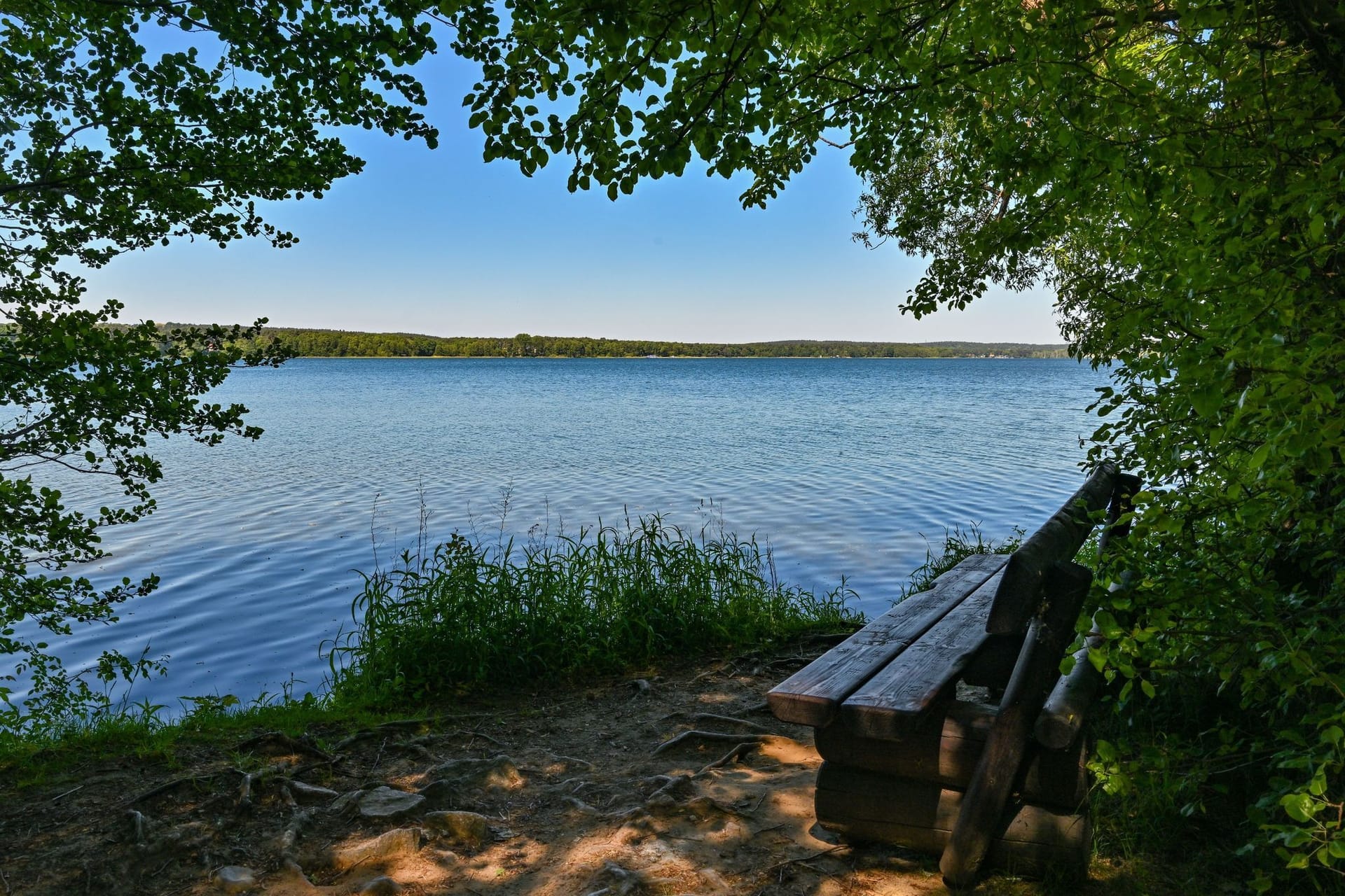 Scharmützelsee