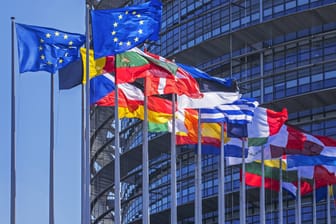 Flaggen vor dem EU-Parlament in Straßburg (Symbolbild): Abgeordnete sollen bei Missbrauchsvorwürfen systematisch geschützt werden.