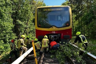 Unfall: Ein Zug der Berliner S-Bahn ist mit einem Baum kollidiert.