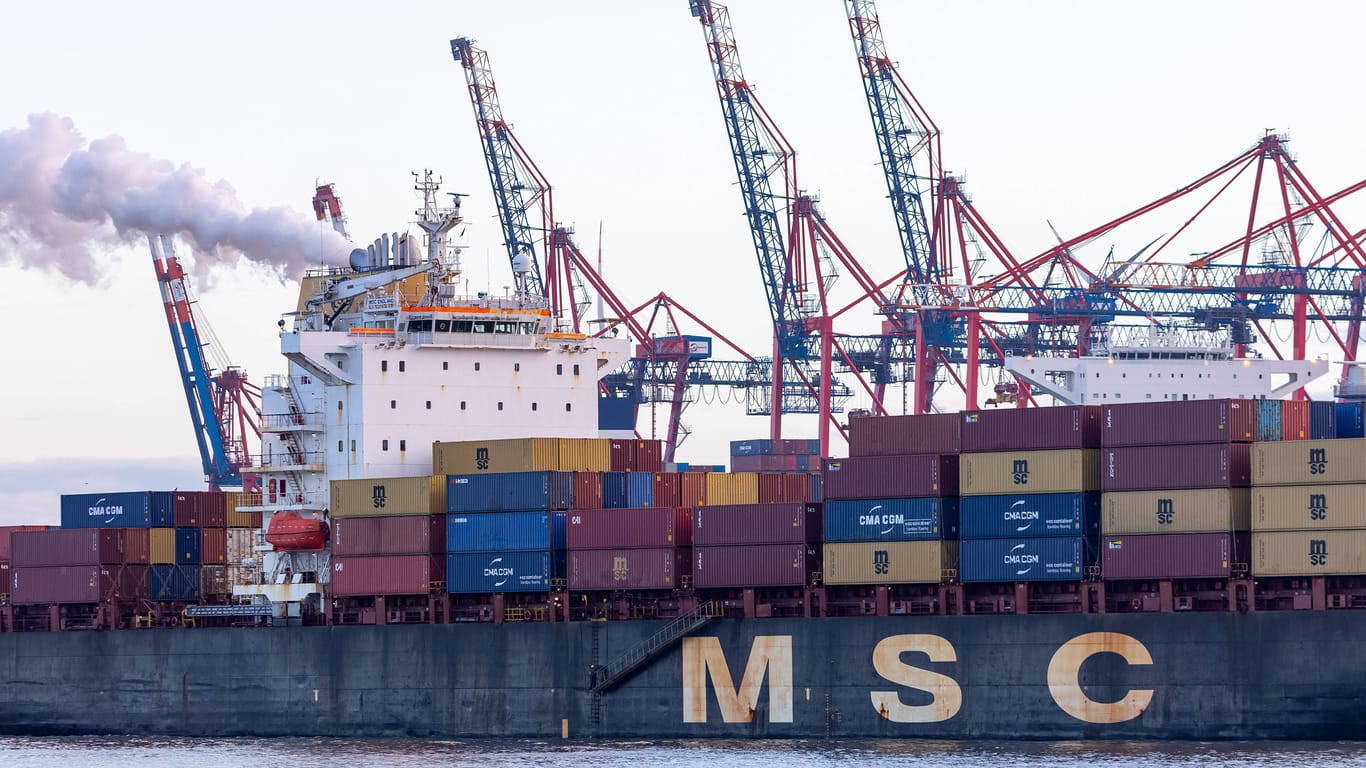 Ein Containerschiff von MSC im Hamburger Hafen (Symbolbild): Die Reederei will in den städtischen Hafenlogistiker HHLA einsteigen.