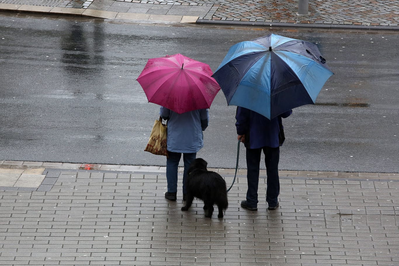Ein Paar geht mit seinem Hund im Regen spazieren (Symbolbild): Das Wetter am Donnerstag ist durchwachsen.