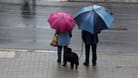 Ein Paar geht mit seinem Hund im Regen spazieren (Symbolbild): Das Wetter am Donnerstag ist durchwachsen.