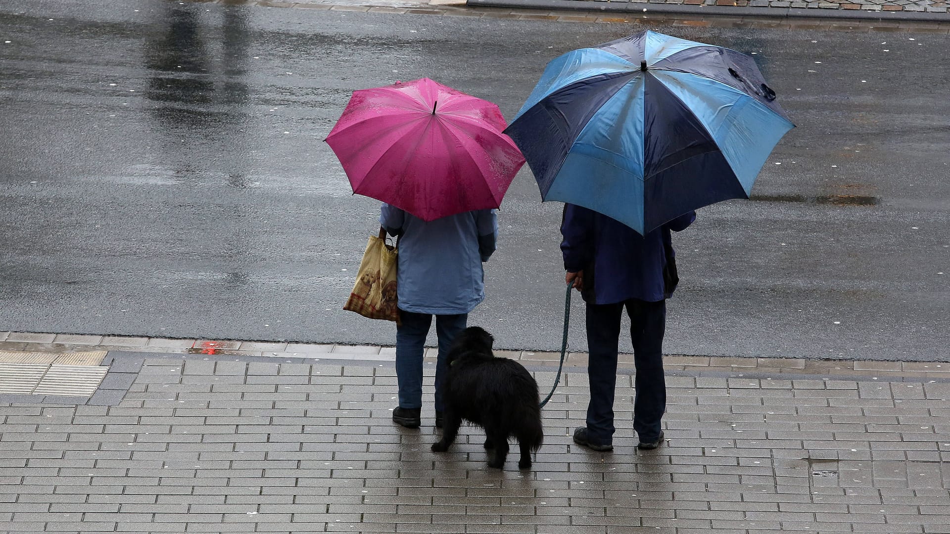 Ein Paar geht mit seinem Hund im Regen spazieren (Symbolbild): Das Wetter am Donnerstag ist durchwachsen. Ein Paar geht mit seinem Hund im Regen spazieren (Symbolbild): Das Wetter am Donnerstag ist durchwachsen.