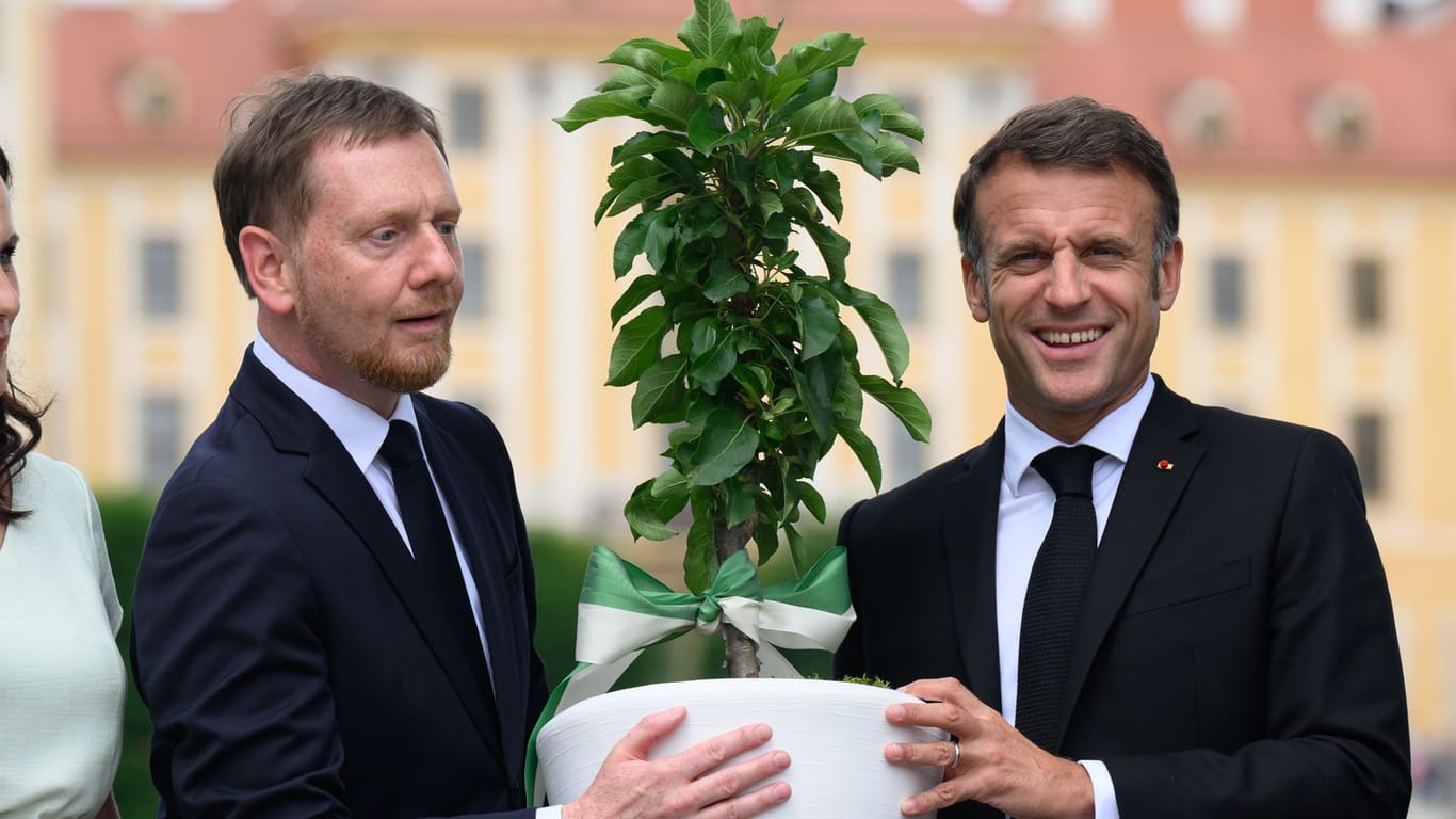 Sachsen: Macron bekommt von Kretschmer einen Apfelbaum überreicht.