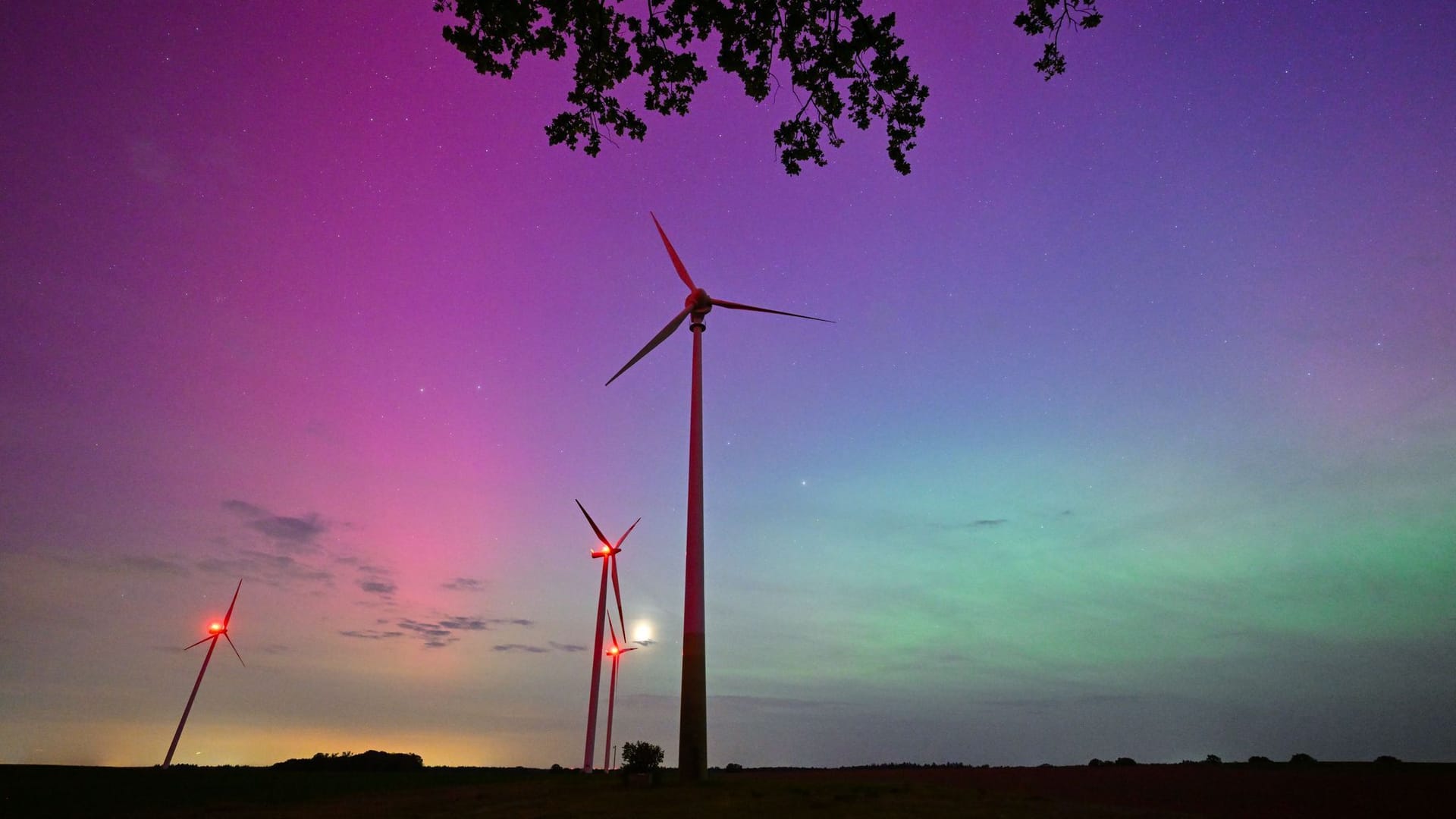 Hellgrün und violett-rötlich leuchten Polarlichter am Nachthimmel im Landkreis Oder-Spree in Ostbrandenburg: Die Nordlichter werden durch eine Wolke elektrisch geladener Teilchen eines Sonnensturms in der Erdatmosphäre erzeugt.