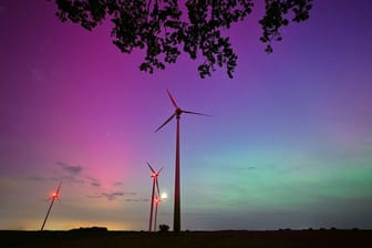 Hellgrün und violett-rötlich leuchten Polarlichter am Nachthimmel im Landkreis Oder-Spree in Ostbrandenburg: Die Nordlichter werden durch eine Wolke elektrisch geladener Teilchen eines Sonnensturms in der Erdatmosphäre erzeugt.