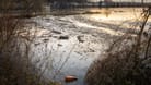 Seen verschmutzt Müll, das Grundwasser verschmutzen Schadstoffbelastungen: Deutschlands Wasser geht es nicht gut.