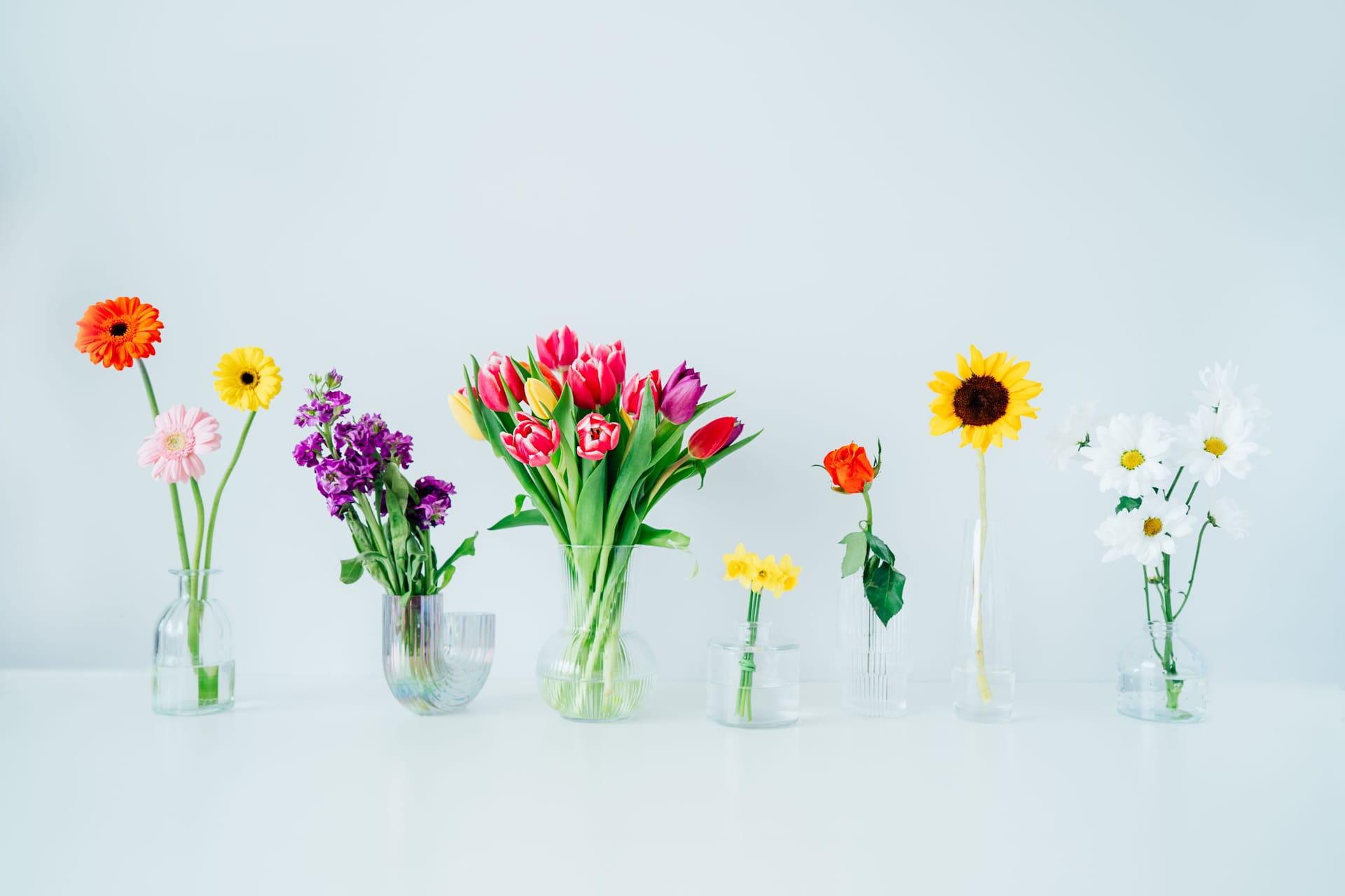 Blumen-Quiz: Sind Sie ein echter Florist? Beweisen Sie Ihr Blumenwissen hier kostenlos im Quiz.