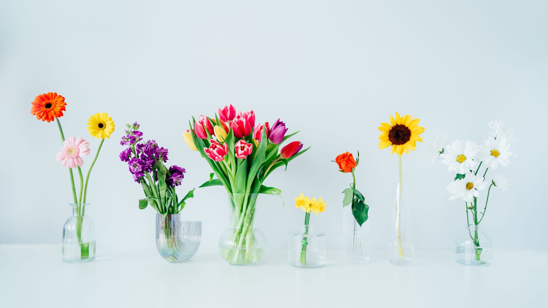 Blumen-Quiz: Sind Sie ein echter Florist? Beweisen Sie Ihr Blumenwissen hier kostenlos im Quiz.