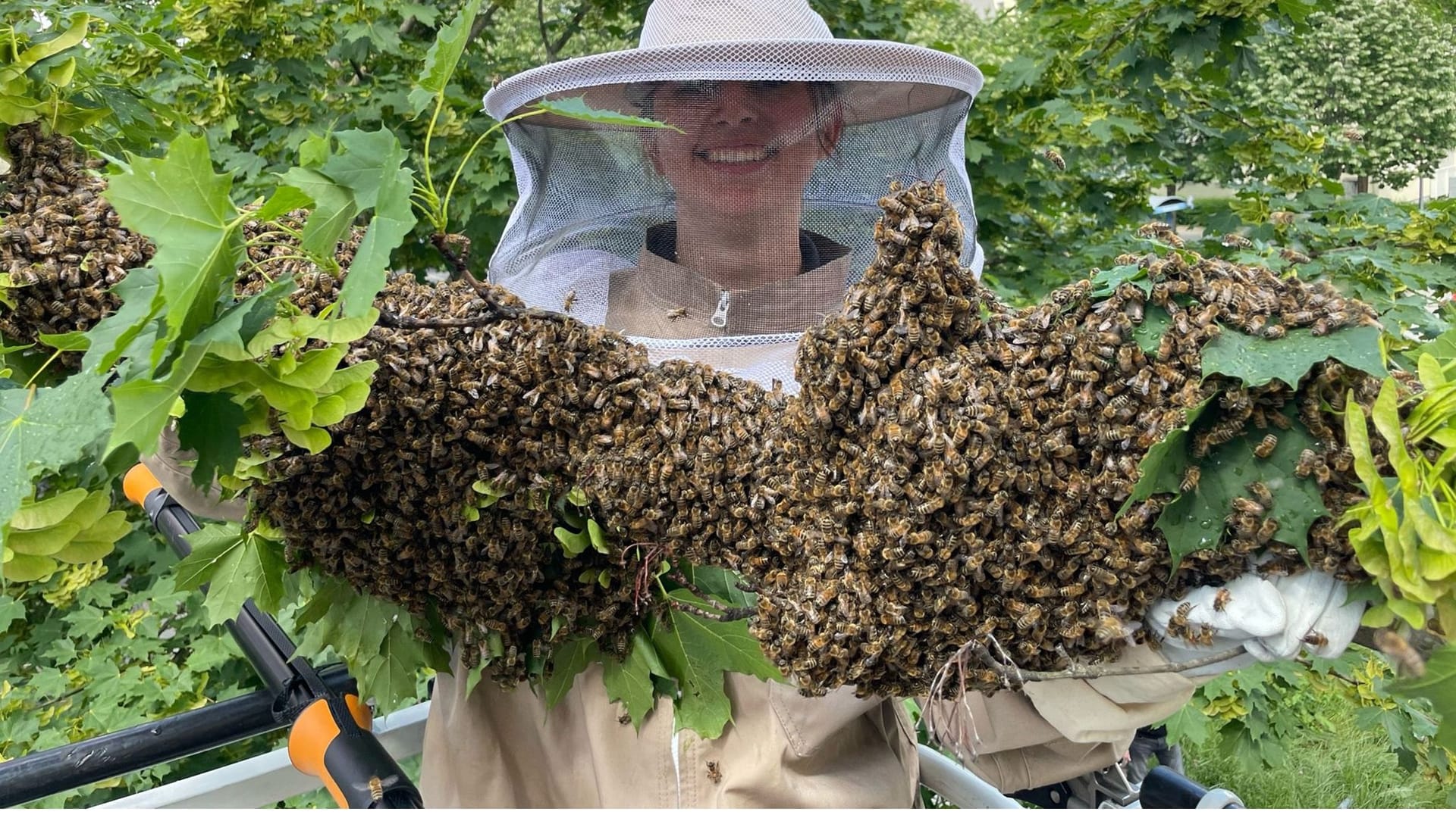 In rund fünf Metern Höhe hatte sich im Münchner Stadtteil Bogenhausen ein riesiger Bienenschwarm niedergelassen. Die Feuerwehr musste ausrücken.