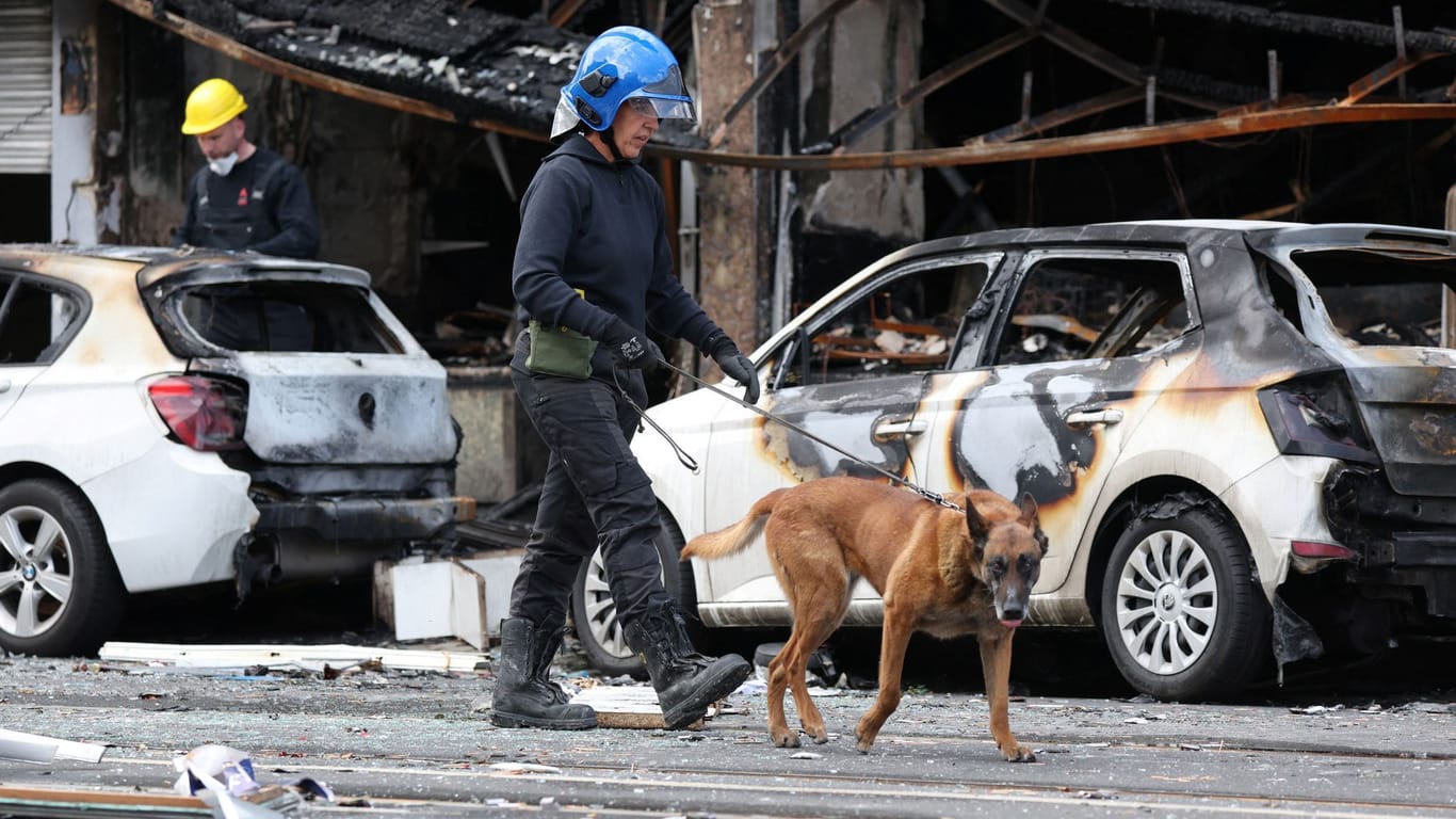 Ermittler sucht in Düsseldorf mit einem Hund nach Spuren nach der verheerenden Explosion.