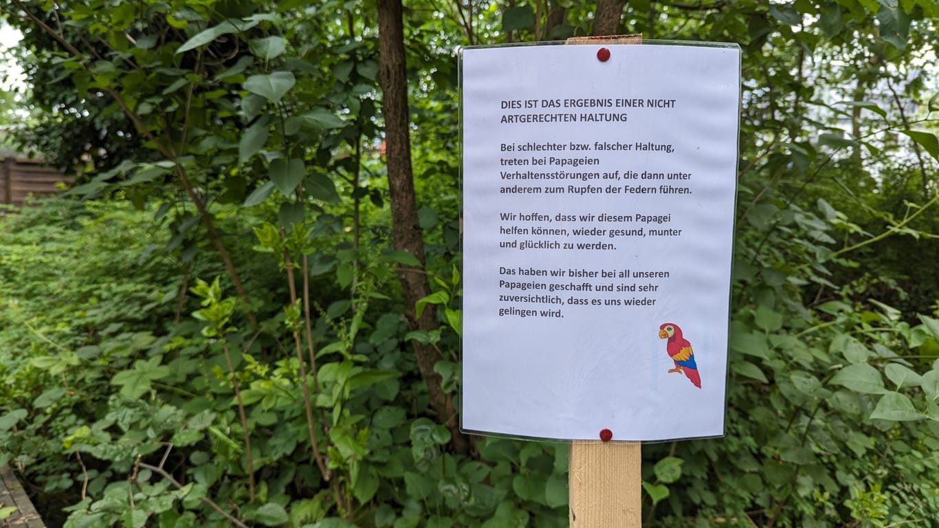 Ein Schild im Kobelt-Zoo weist auf die falsche Haltung von Ara-Papageien hin.