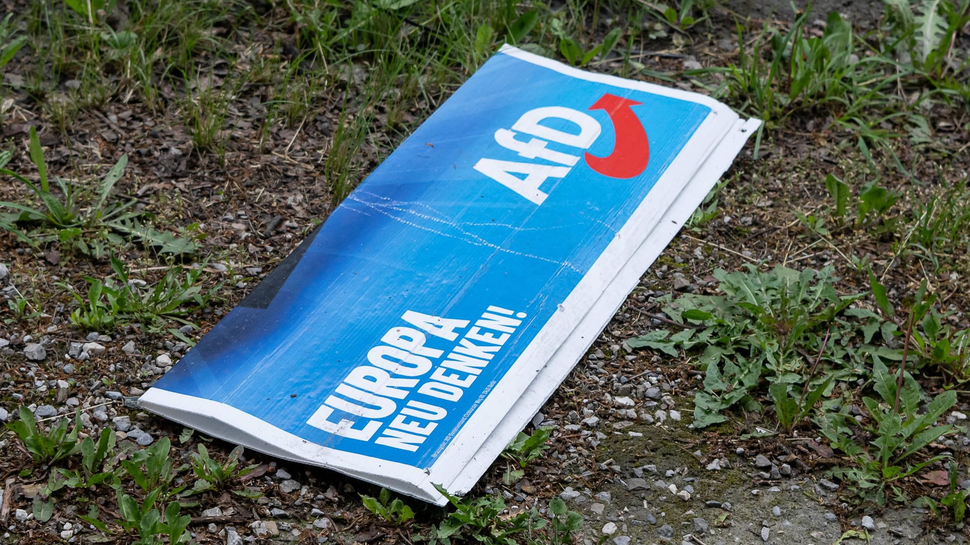 Wahlplakat der AfD (Symbolbild): Ein Infostand der Partei wurde vor dem Landtag in Stuttgart angegriffen.