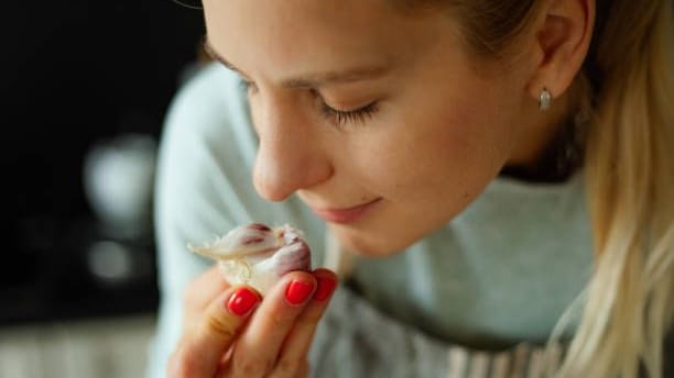 Gewürz und Heilpflanze: Eine Allergie gegen Knoblauch kann in jedem Alter auftreten.